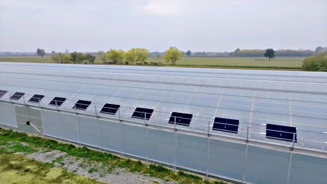 Aqua-farm-video-placeholder aqua-farm-video-placeholder
